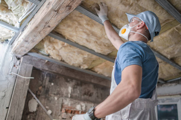 Best Cellulose Insulation  in St George, MO