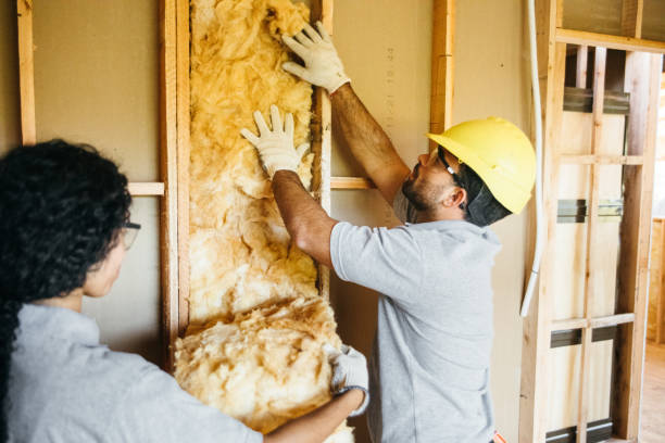 Best Crawl Space Insulation  in St George, MO