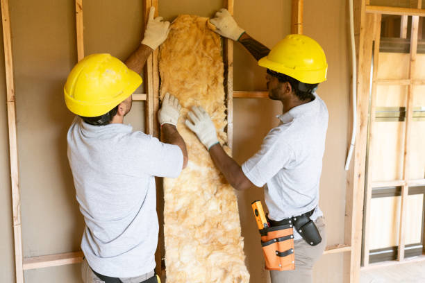 Best Cellulose Insulation  in St George, MO