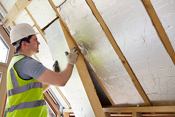 Best Best Insulation Companies  in St George, MO