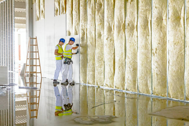 Garage Insulation Installation in St George, MO